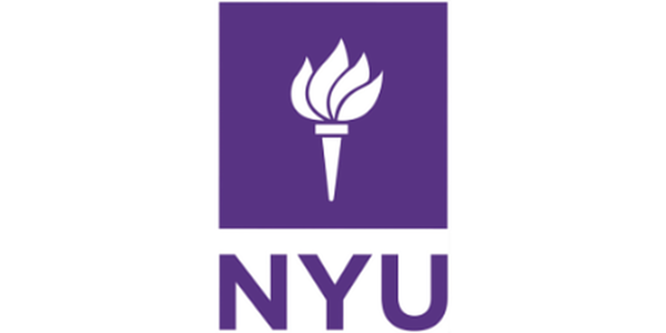 New York University jobs